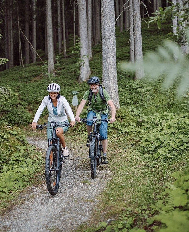 E-Bike Touren direkt vom Hotel Waldfrieden weg