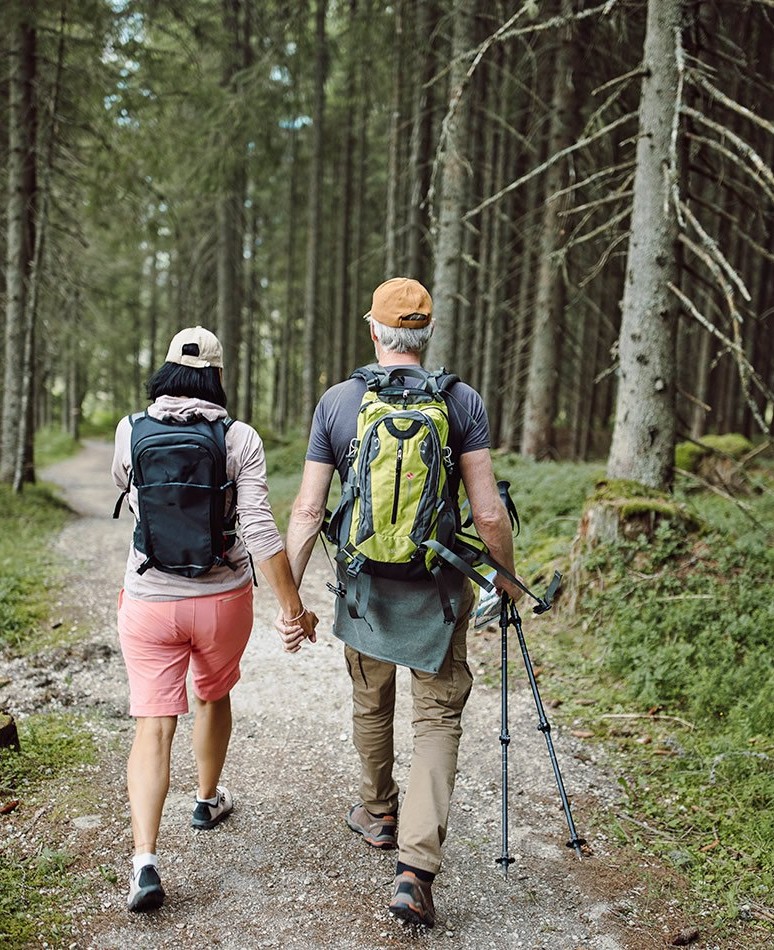 Wanderung durch den Wald