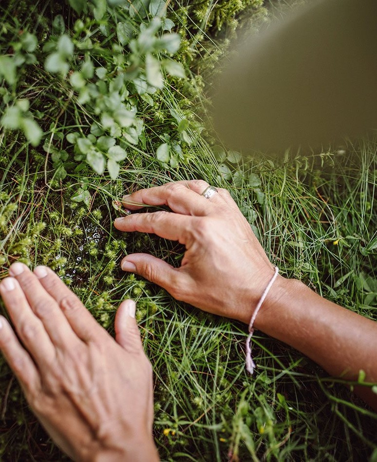 Beeren entdecken beim Sommerurlaub