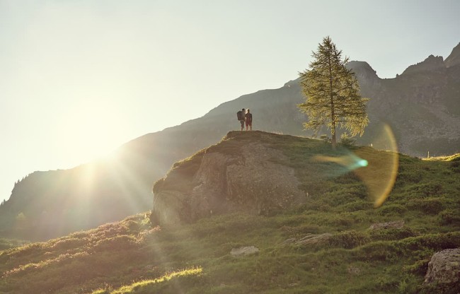 Giglachsee alpine pasture