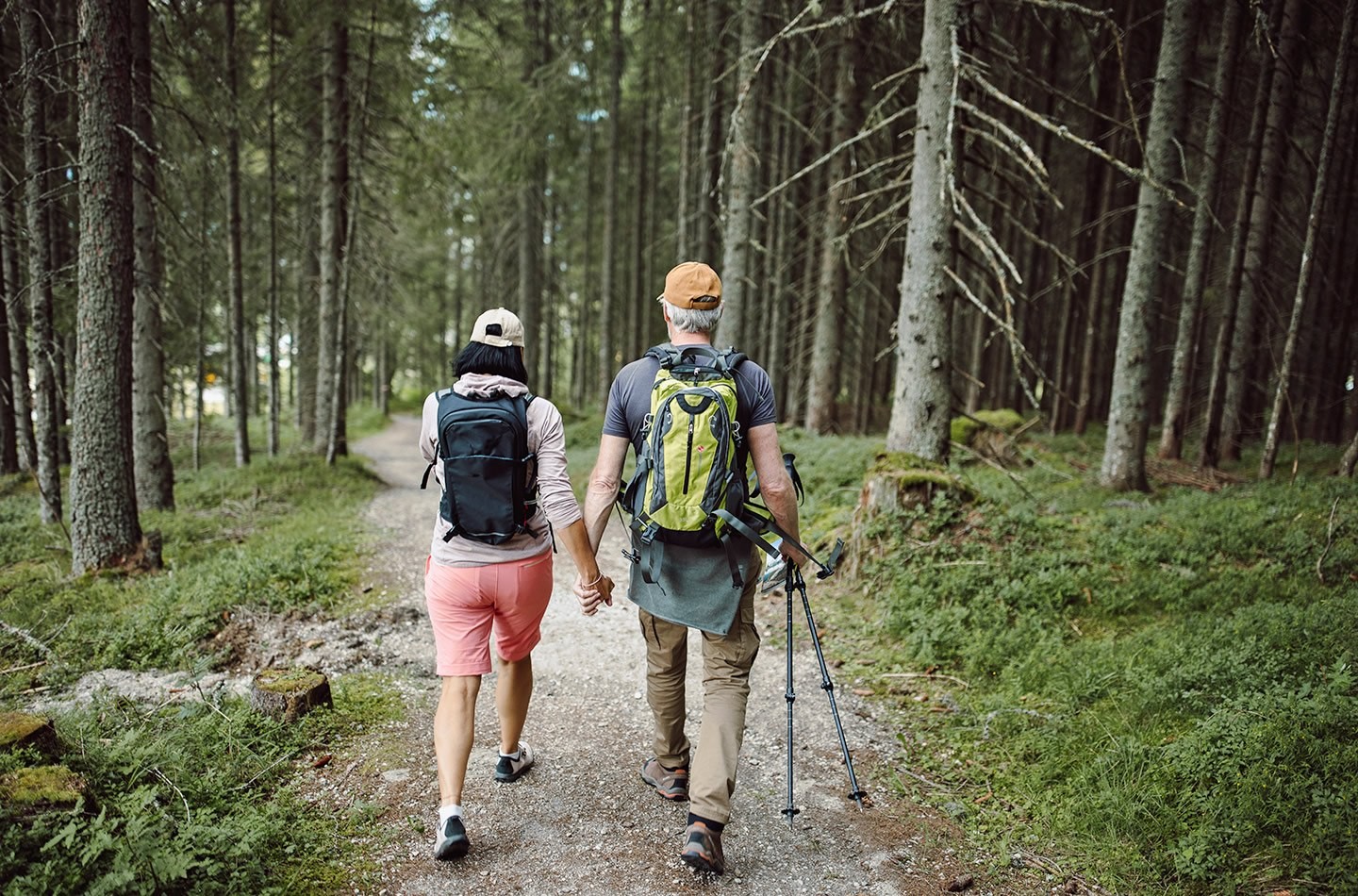 Wanderung durch intakte gesunde Wälder