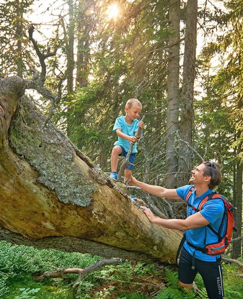 © Schladming-Dachstein | Peter Burgstaller