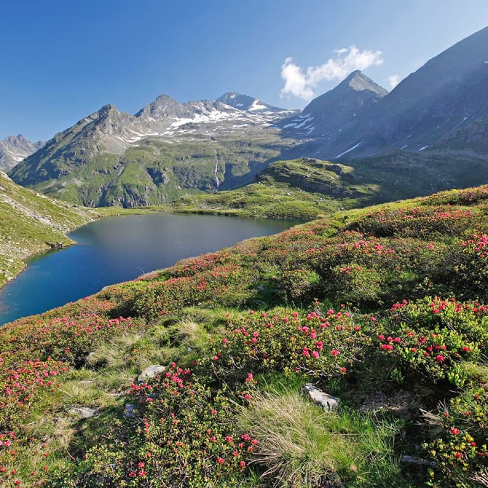 Hiking tour to the Sonntagskarsee lake © Schladming-Dachstein | Raffalt