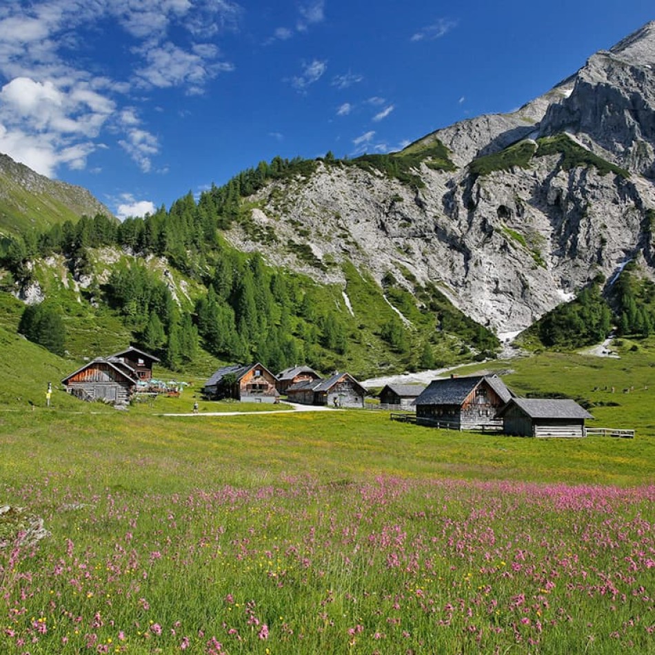 Ausflug zur Ursprungalm © Schladming-Dachstein | Raffalt